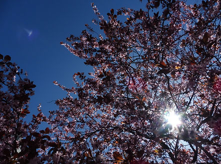 P1090533.JPG