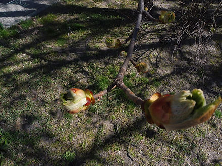 P1090539.JPG