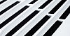 download (9).jpeg