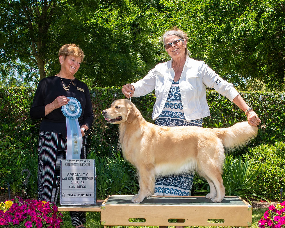 Select Bitch, Veteran, DSC_0056