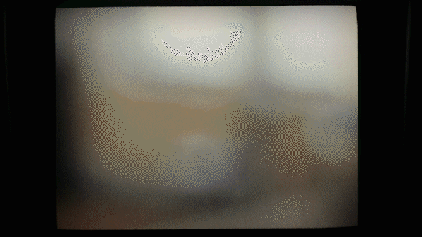 697A5040_4.gif