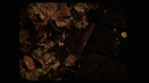 697A5040_8.gif
