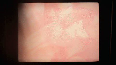 697A5043_5.gif