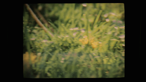 697A5043_3.gif