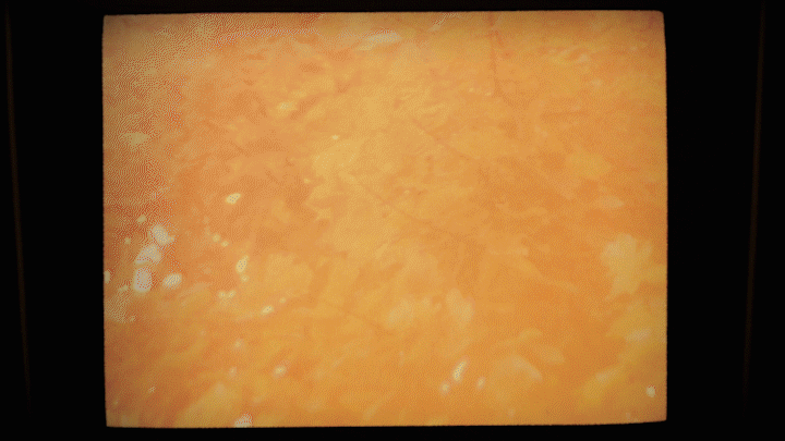 697A5040_3.gif