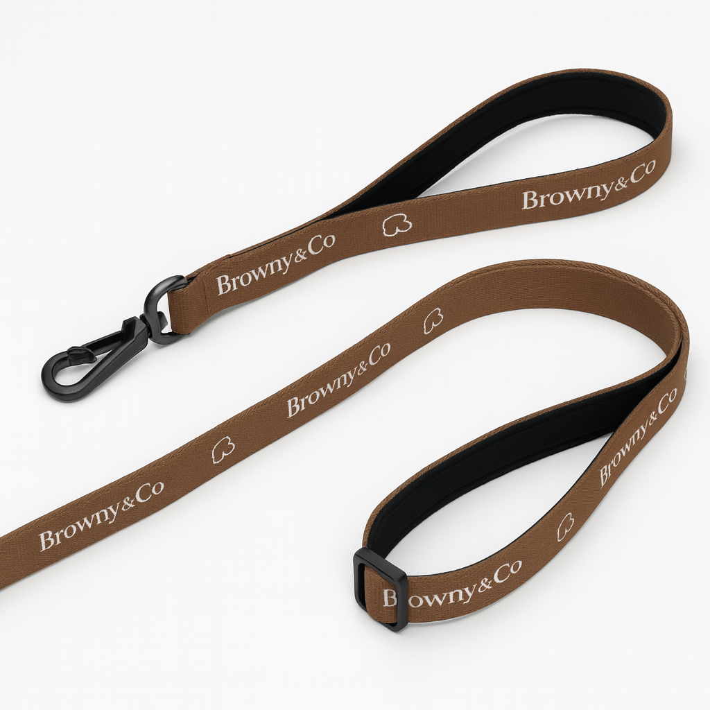 The Signature Dual-Handle Leash