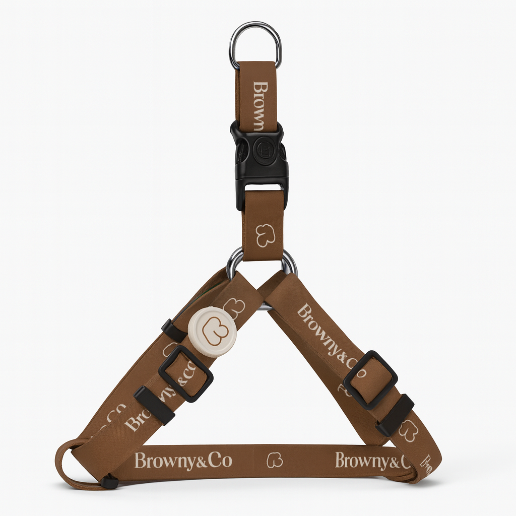 The Signature Harness