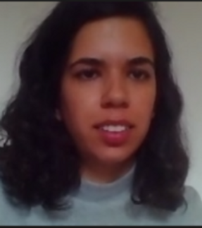 web_tzur.PNG