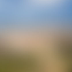 04/2026 Visita guiada pel centre històric de Vilafranca.