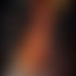 03-24/01/2026 Festa de "La Publicata" en honor a Sant Antoni Abat.