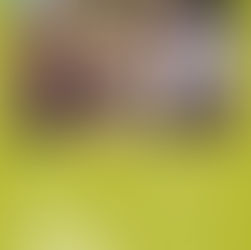 04/04/2026 Visita teatralitzada de la pedra en sec.