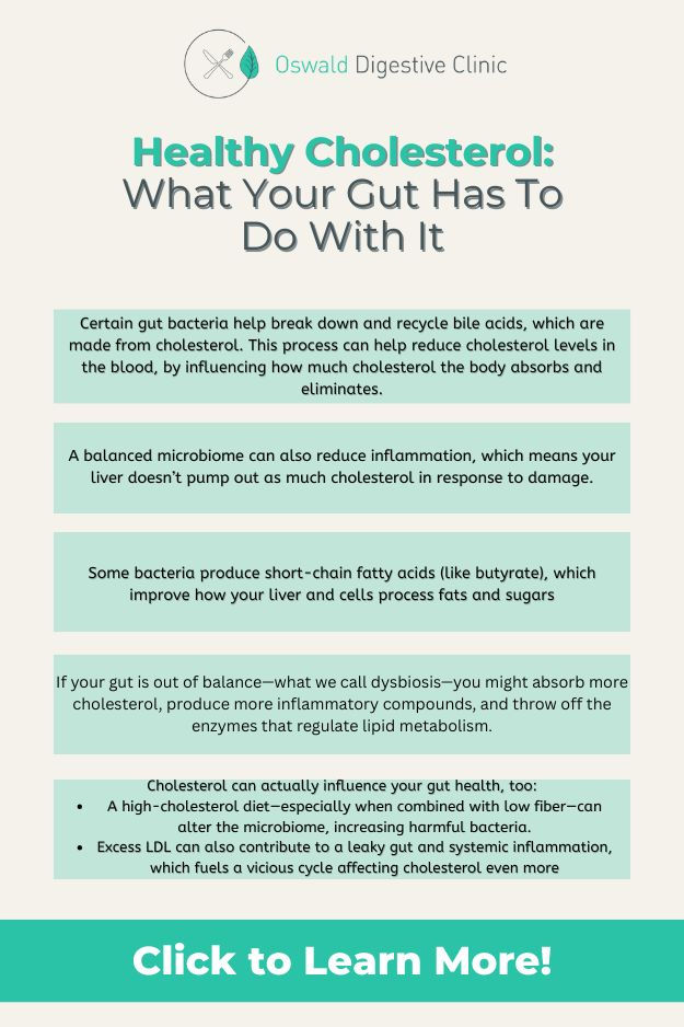 Infographic titled "Healthy Cholesterol: What Your Gut Has To Do With It" by Oswald Digestive Clinic. Text on gut bacteria and cholesterol.