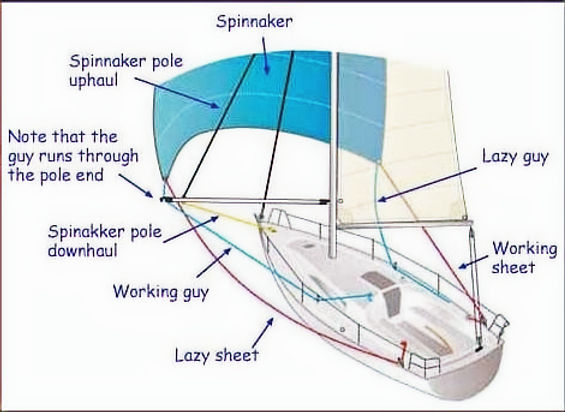Spinnaker-hp_edited.jpg