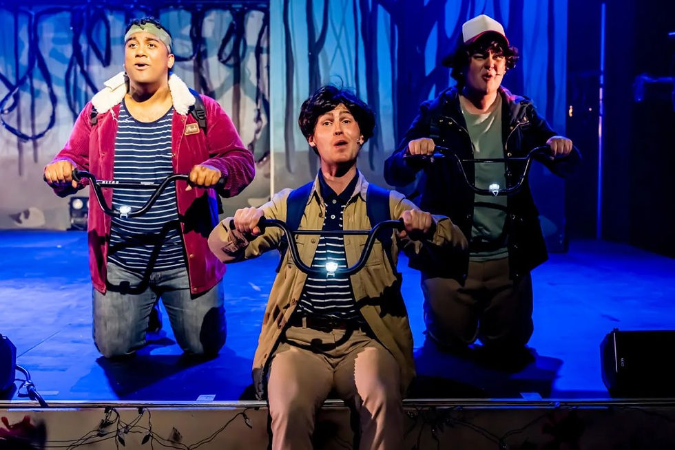Stranger Sings – The Parody Musical - Salty Theatre (VIC)