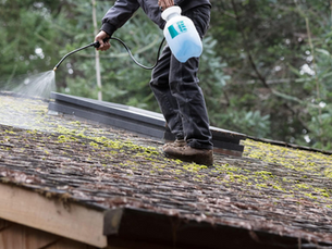 DIY Roof Cleaning