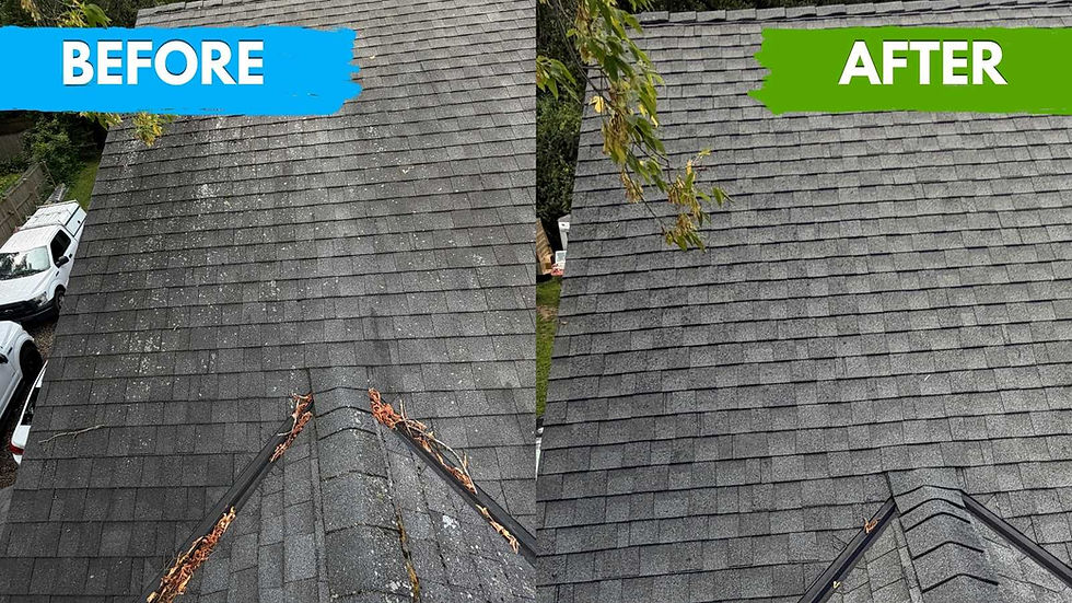 Before_And_After_Roof_Wash_Transformation2.jpg
