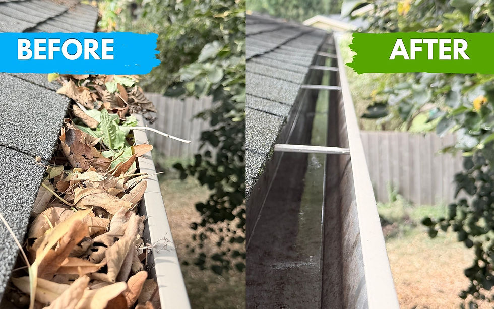 Gutter B4 & After for Website.jpg