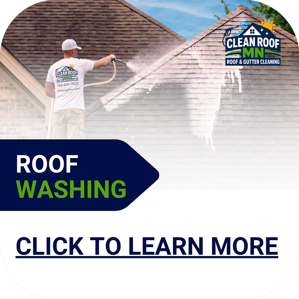 Roof Washing Link.png