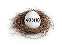 403b egg.jpeg