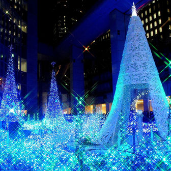 2016 Xmasの思い出に Part2🎄