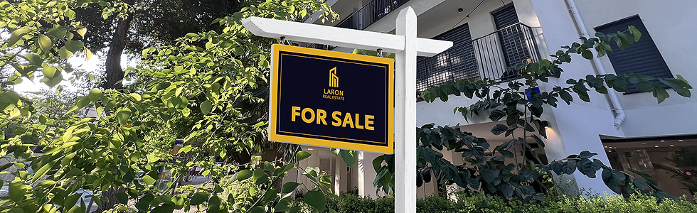 LARON REAL ESTATE FOR SALE.png
