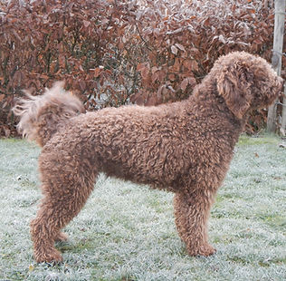 Ausschnitt IMG_0746 .jpg