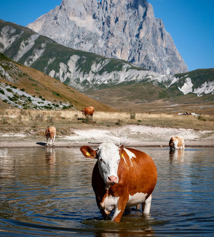 Parco Nazionale del Gran Sasso.jpeg