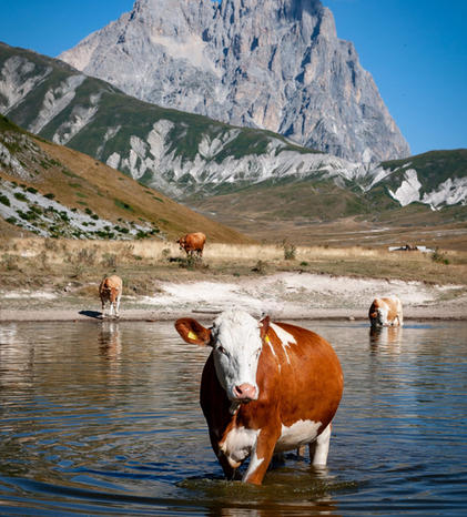 Parco Nazionale del Gran Sasso.jpeg