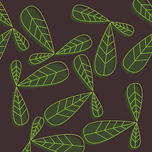 Patterns-03.jpg