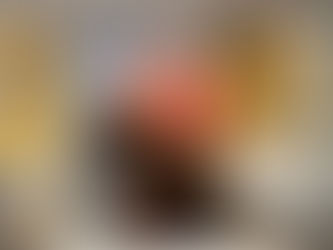 Comment nettoyer les oreilles de votre chien ?