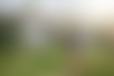 Mid-2025 Hot Suburbs Guide – Where Investors Are Buying Now