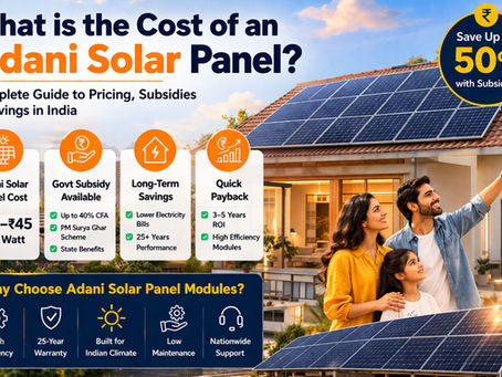 What is the Cost of an Adani Solar Panel?