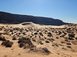 Discovering Coral Pink Sand Dunes State Park