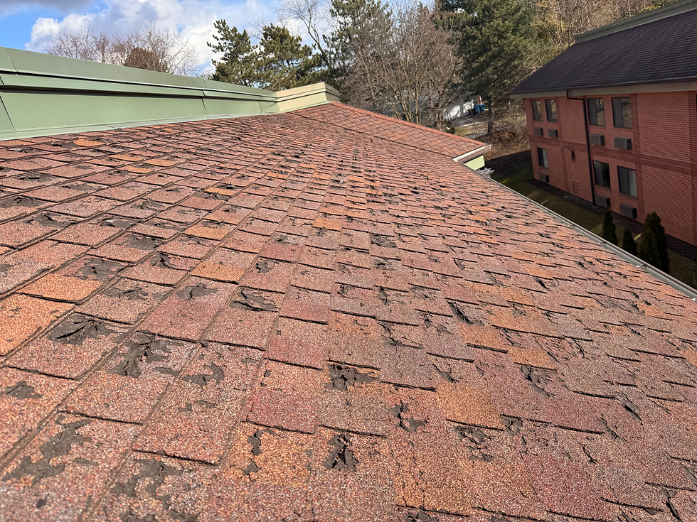 Deteriorated organic shingles