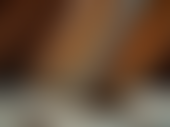 Essential Guide to Understanding and Managing Mold Growth in Your Attic