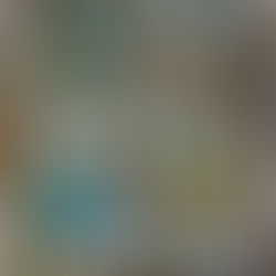 A Carousel Through Time: Reflections on the Pavilion