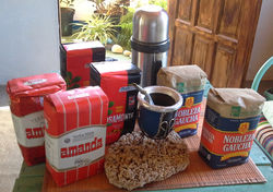 YERBAS MATE EN BAHIA, BRASIL