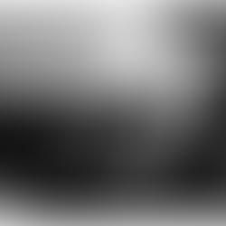 Dr Helen Brooke Taussig: Founder of Paediatric Cardiology and Pioneer of Life-Saving Care for Children with Congenital Heart Disease