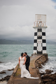 Stunning photos Point Halswell Lighthouse Wellington