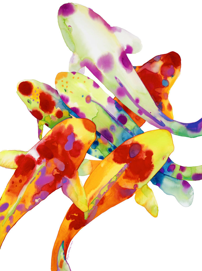 Koi Fish VI