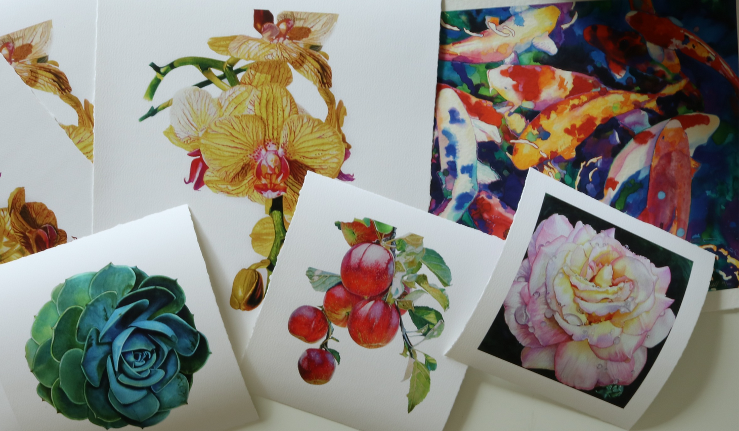 LIMITED EDITION PRINTS