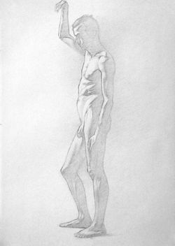 Male Nude Study