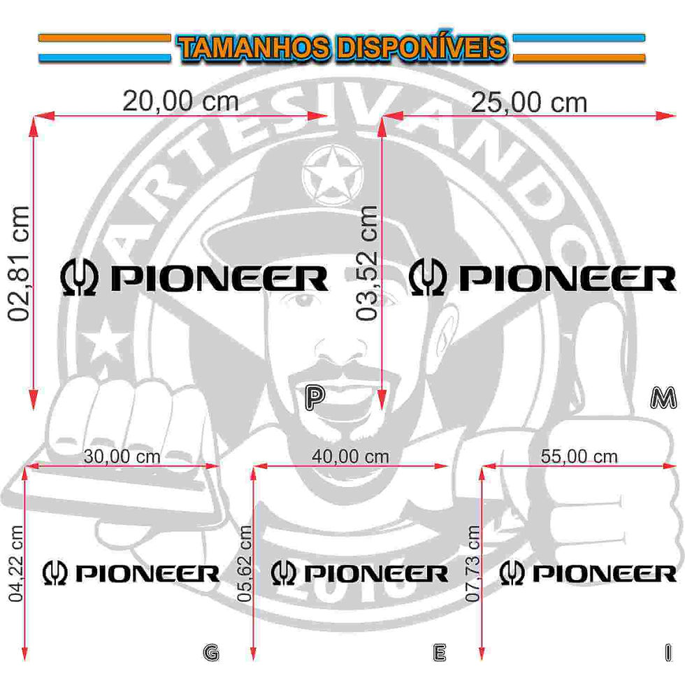 Miniatura: T133-Adesivo Pioneer