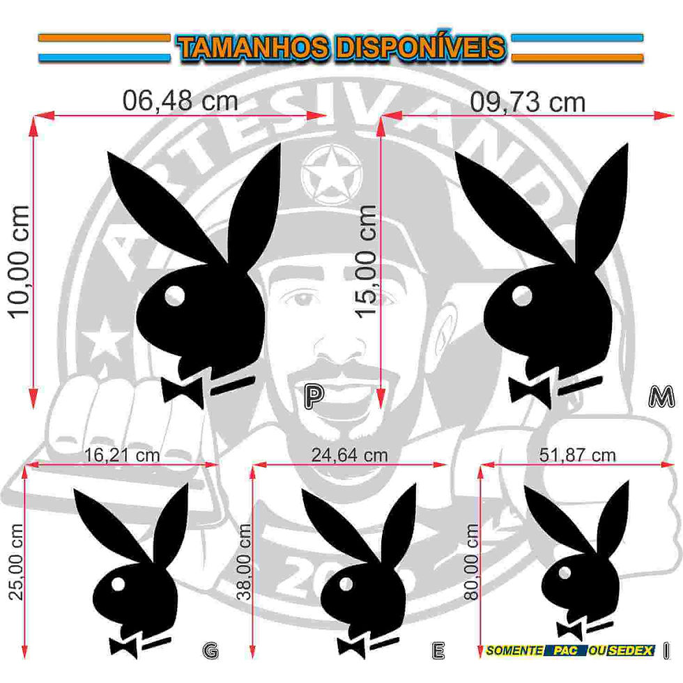 Miniatura: D22-Adesivo Playboy