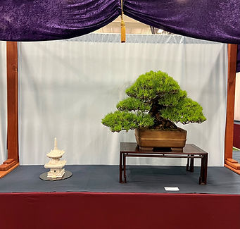 Black Pine National Show - Brownlee Currey.jpg