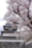 Fukuoka Castle