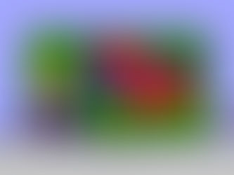 To Concede or Not to Concede?