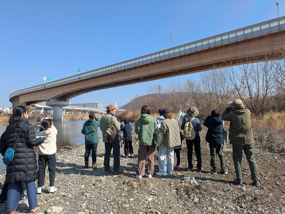 たくさん鳥を見れました