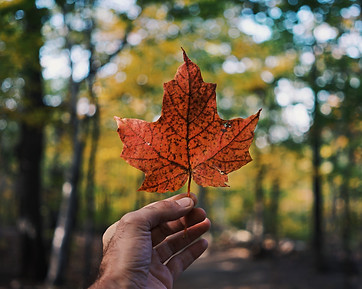 Canada Land Acknowledgment