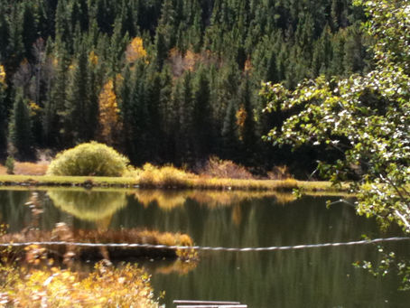 Embracing the Energies of Autumn: Releasing and Letting Go